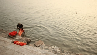 Viral Video: Men Allegedly Drinking Alcohol Near River Ganga Get Beaten Up With Raft Paddles | Internet React